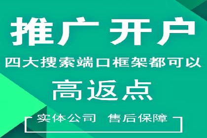 SEM托管服务成功案例背后的故事